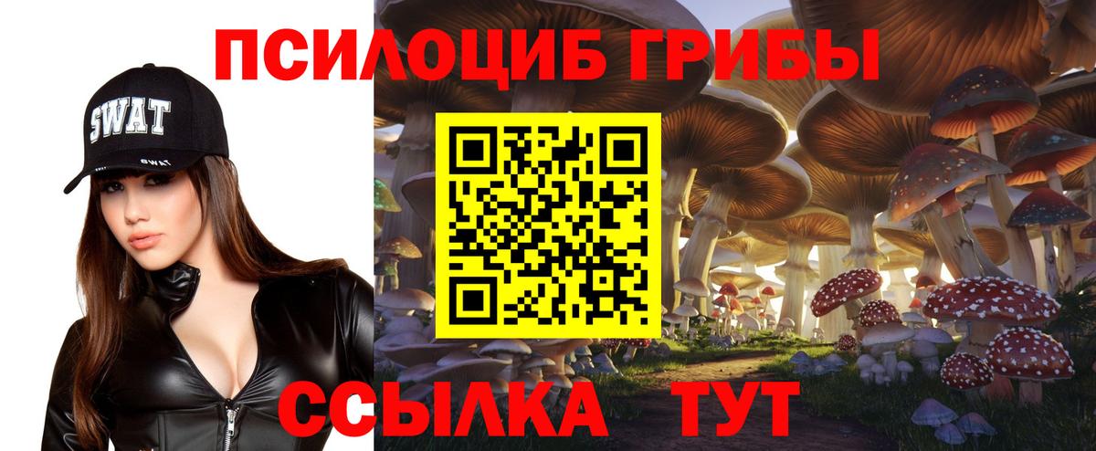 Псилоцибиновые грибы Psilocybine cubensis Артёмовский