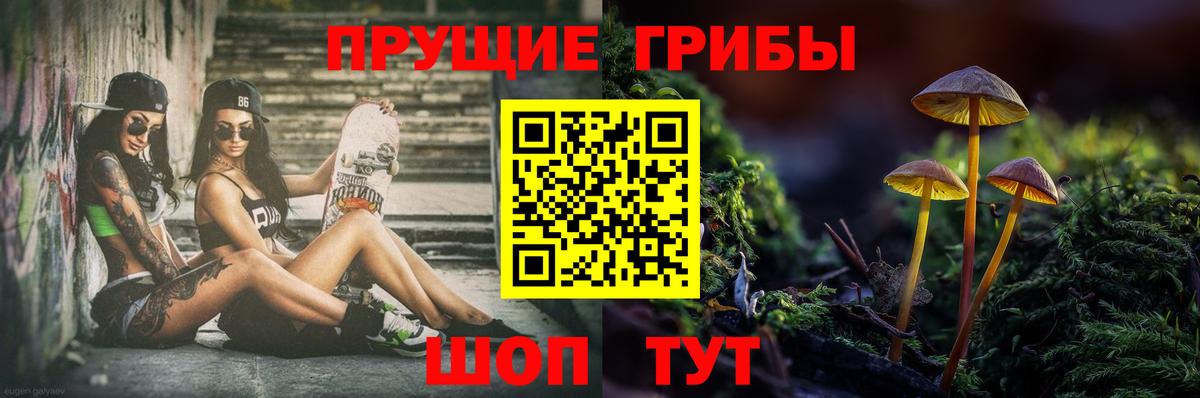 Галлюциногенные грибы MAGIC MUSHROOMS  Вход с VPN  Артёмовский  Галлюциногенные грибы GOLDEN TEACHER 