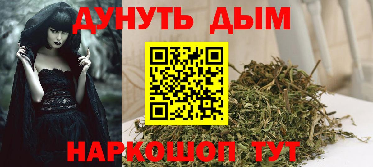 Конопля индика Артёмовский